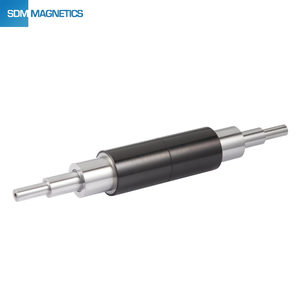 Hochgeschwindigkeits -Magnetmotor -Rotoren Montage Neodym Permanent Rotorpumpenteile Neodym -Magnete