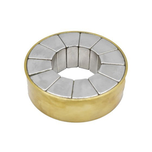 Customisierte Größe Halbach Array Motor Neodym Magnet Ndfeb ARC Magnet Assembly für freie Energie