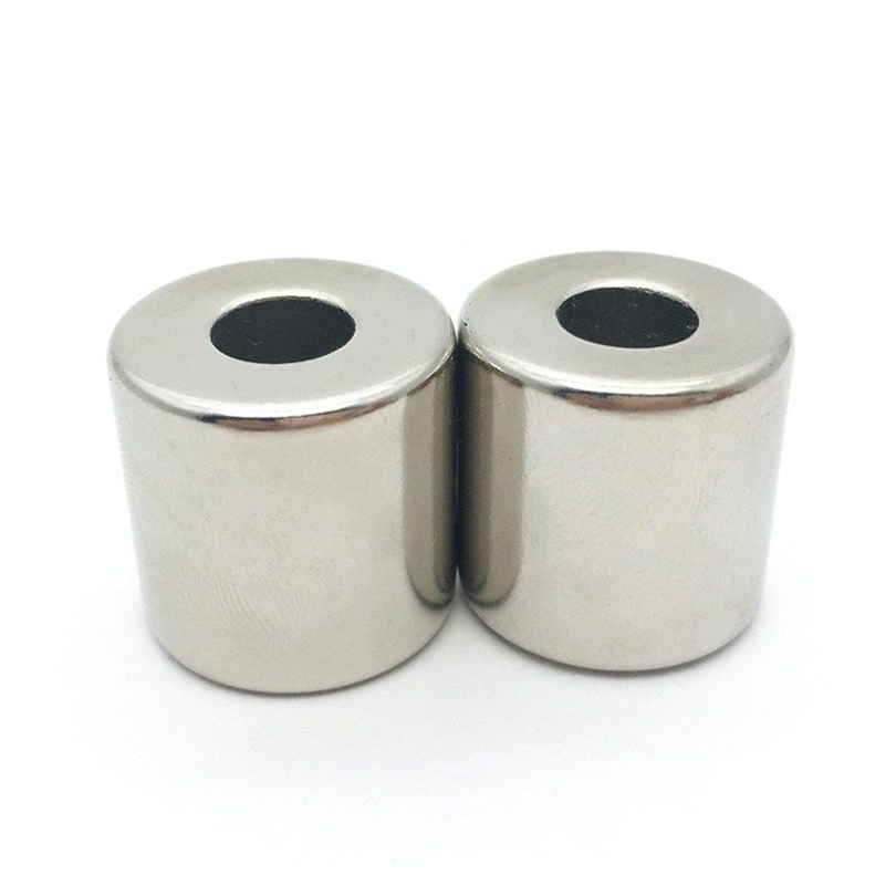 ผู้ผลิตแม่เหล็ก Neodymium Radial Radial Magnetized
